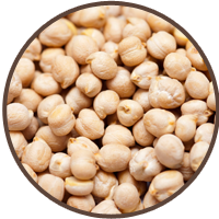 Chick peas, cleaned and graded for export