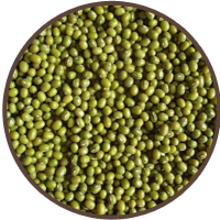 Green mung beans, cleaned and graded for export