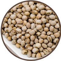 Pigeon peas, cleaned and sorted for international shipment